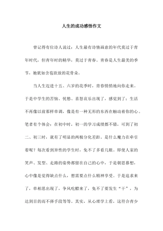 人生的成功感悟作文-1