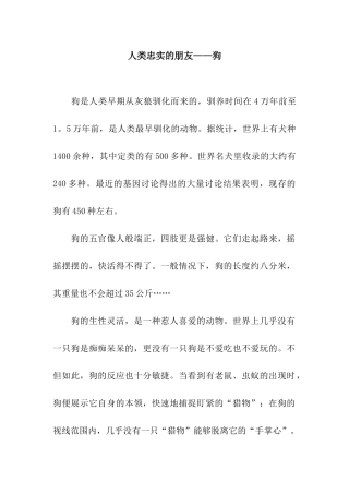 人类忠实的朋友——狗