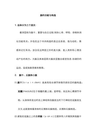 人脑的结构及其功能