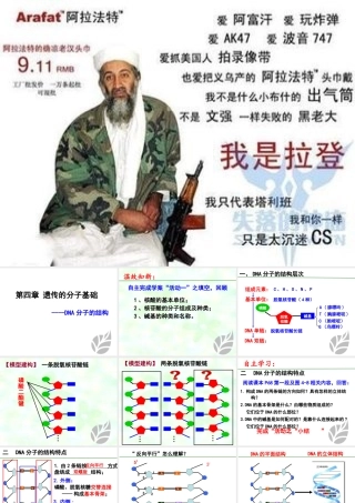 第二节DNA的结构和复制----DNA分子的结构---DNA分子的结构
