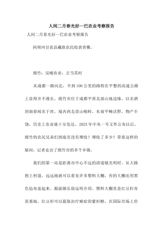 人间二月春光好--巴农业考察报告