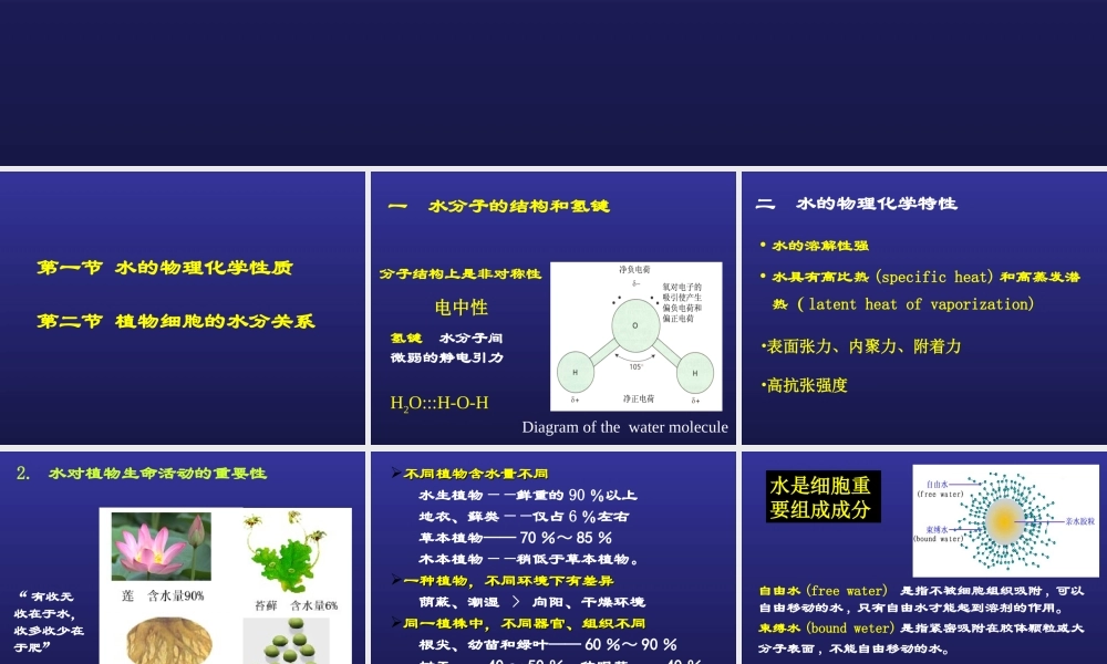 第二章水分与植物细胞