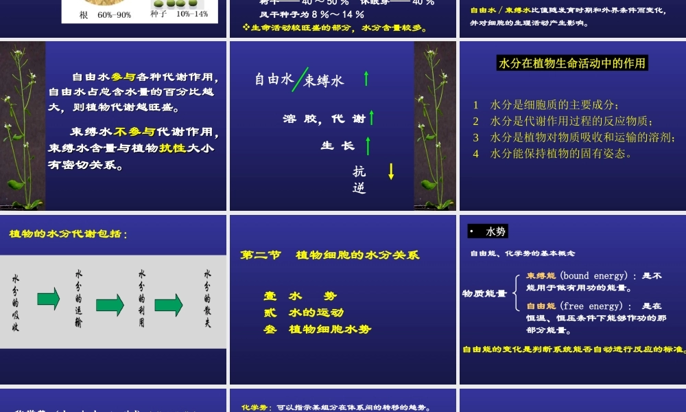第二章水分与植物细胞