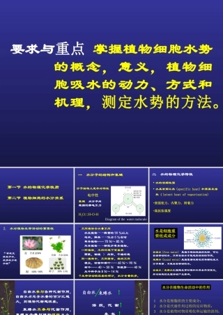 第二章水分与植物细胞