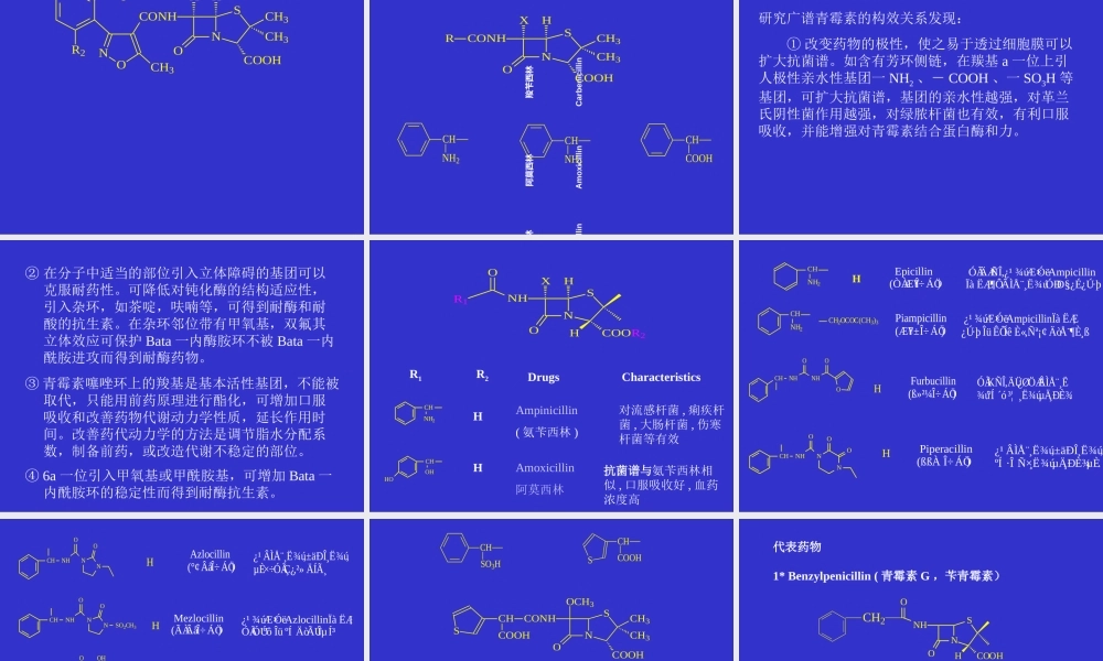 第六章抗生素