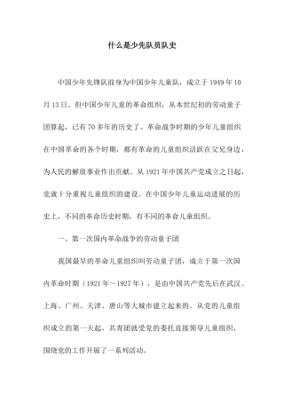 什么是少先队员队史