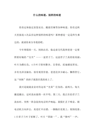 什么的滋味别样的滋味