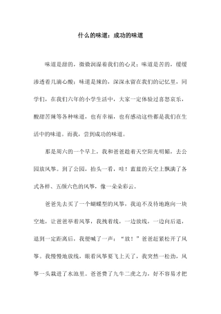 什么的滋味成功的滋味