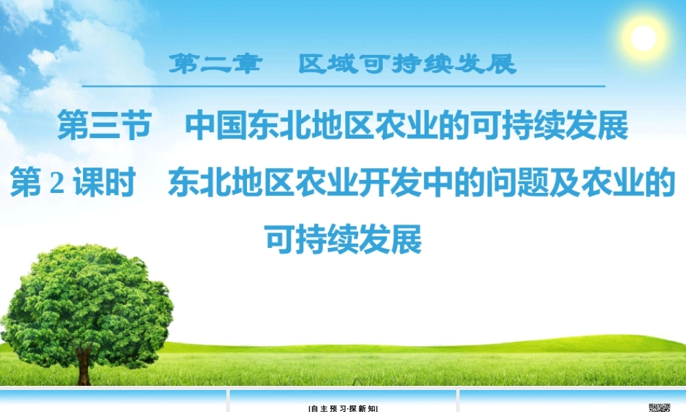 东北地区农业开发中的问题及农业的可持续发展