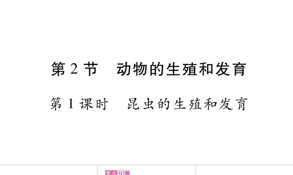动物的生殖和发育