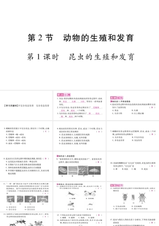 动物的生殖和发育