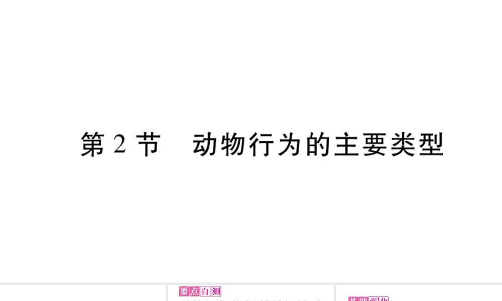 动物行为的主要类型