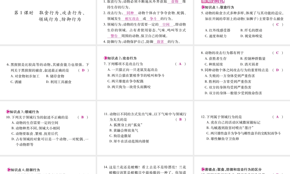 动物行为的主要类型