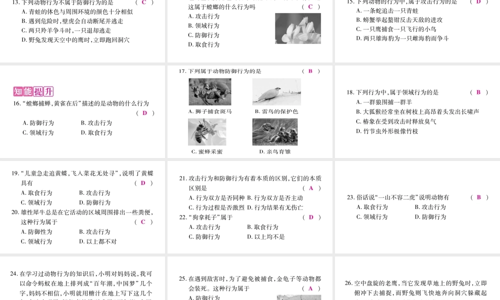 动物行为的主要类型