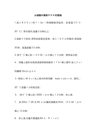 从细胞中提取RNA的方法