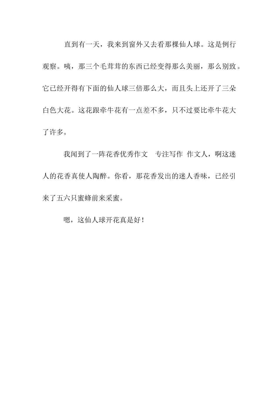 仙人球开花了作文500字_第2页
