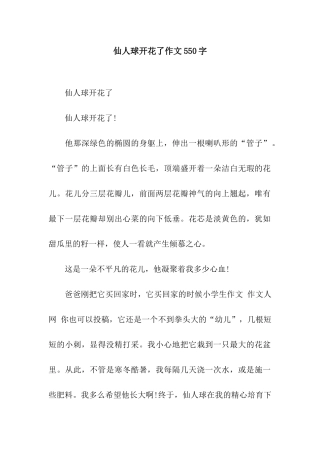 仙人球开花了作文550字