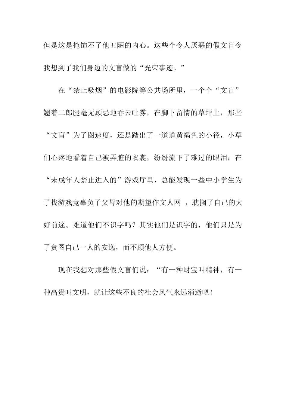 令人可耻的假文盲作文600字_第2页