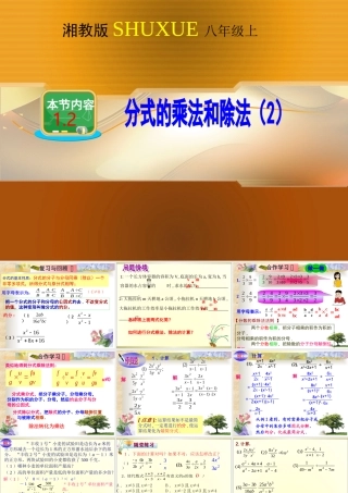分式的乘法和除法 (2)