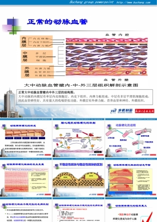 高端会学术会