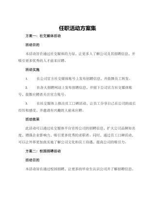 任职活动方案集