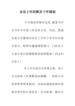 企业上年回顾及下年规划