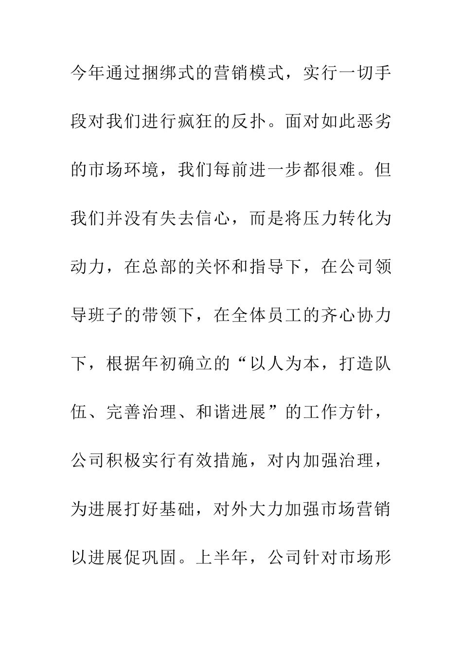 企业下年安排范文_第2页