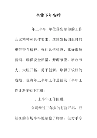企业下年安排
