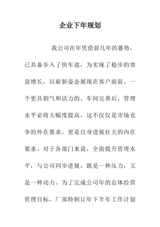 企业下年规划