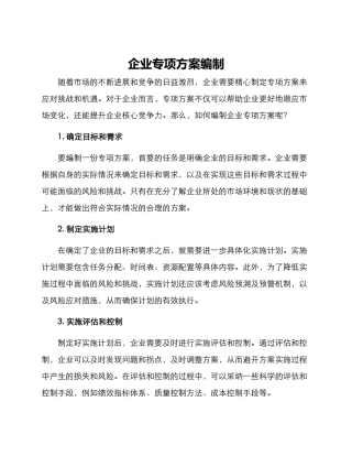 企业专项方案编制