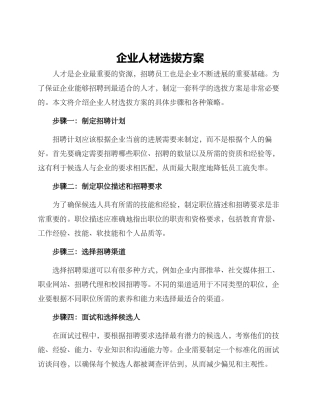 企业人材选拔方案