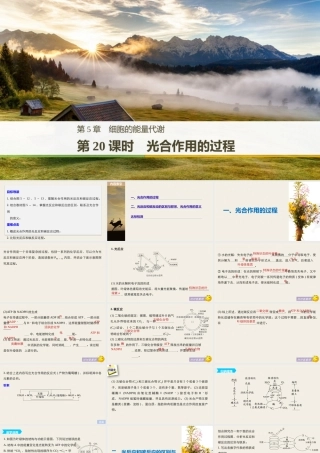 光合作用的过程（步步高）