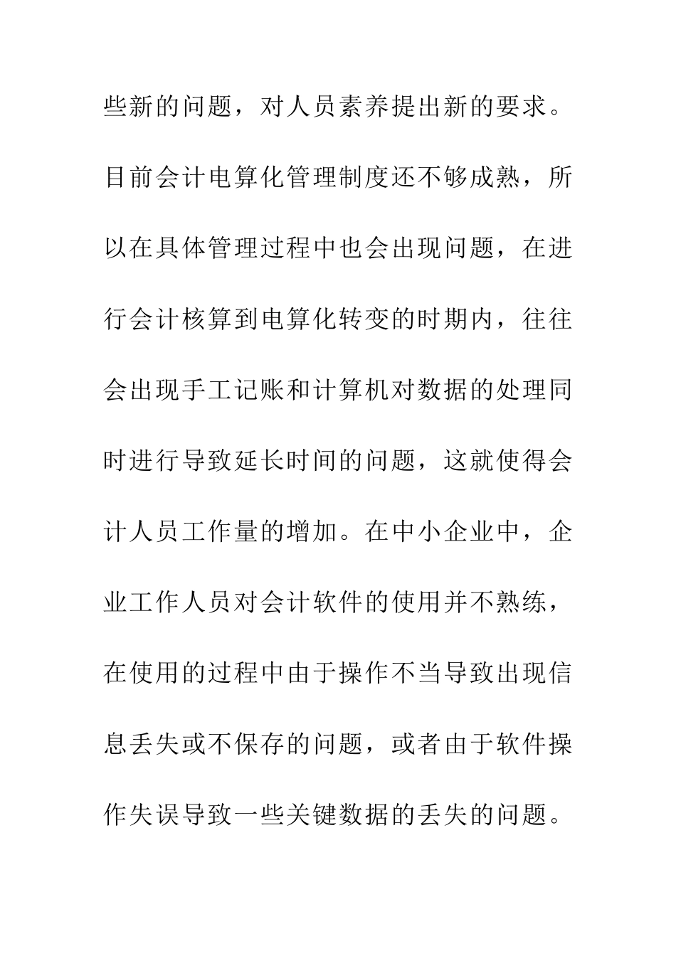 企业会计信息化管理论文_第3页