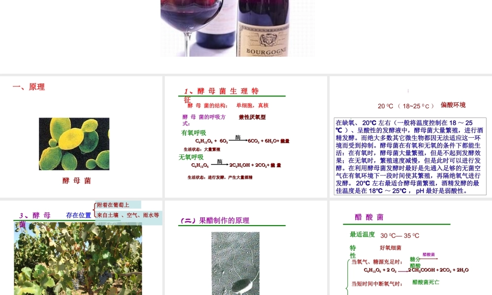 果酒和果醋的制作课件(共25张PPT)