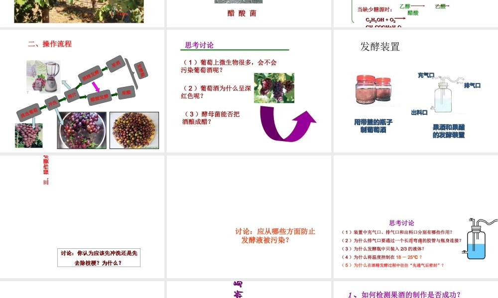 果酒和果醋的制作课件(共25张PPT)