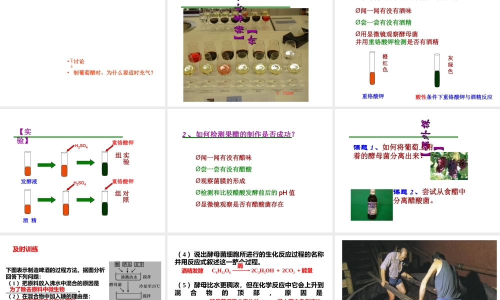 果酒和果醋的制作课件(共25张PPT)
