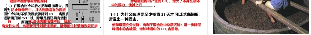 果酒和果醋的制作课件(共25张PPT)