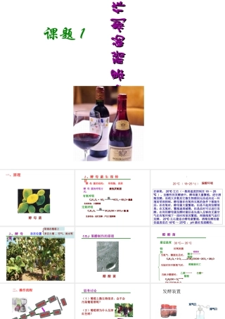 果酒和果醋的制作课件(共25张PPT)