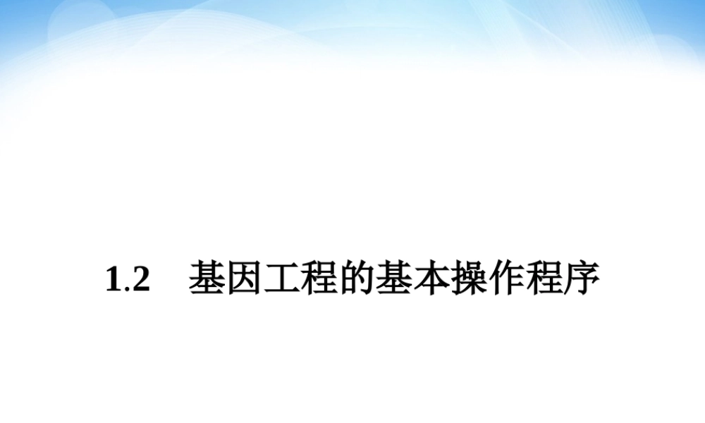 基因工程的基本操作程序