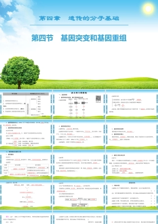 基因突变和基因重组