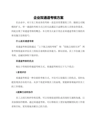 企业双通道考核方案