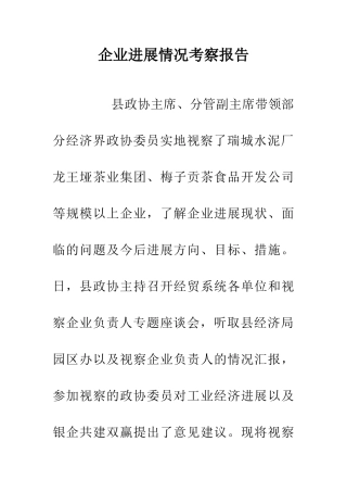 企业发展情况考察报告