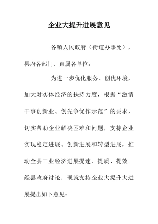 企业大提升发展意见