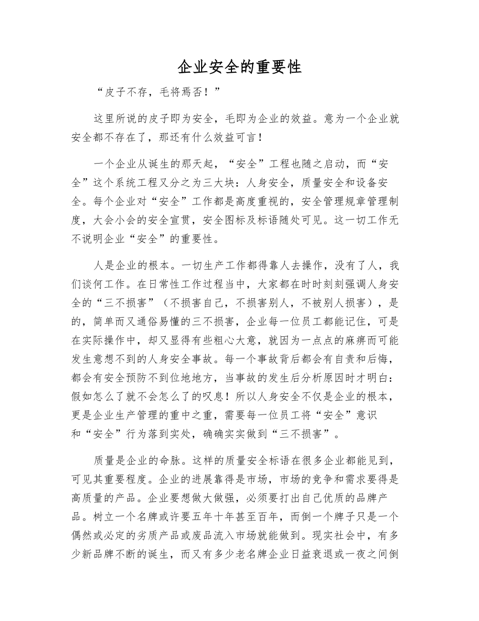 企业安全的重要性_第1页