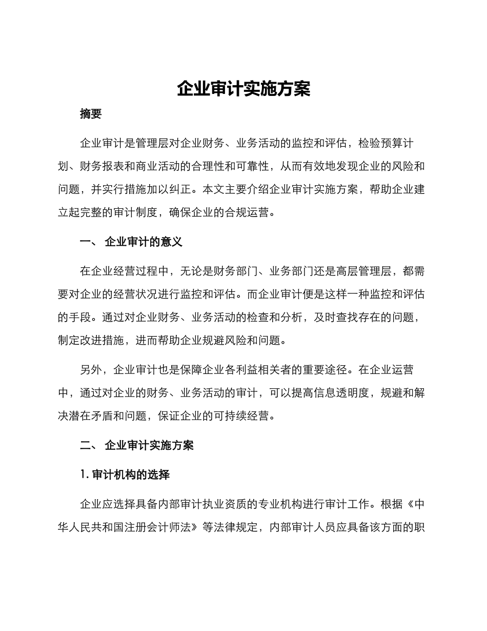 企业审计实施方案_第1页