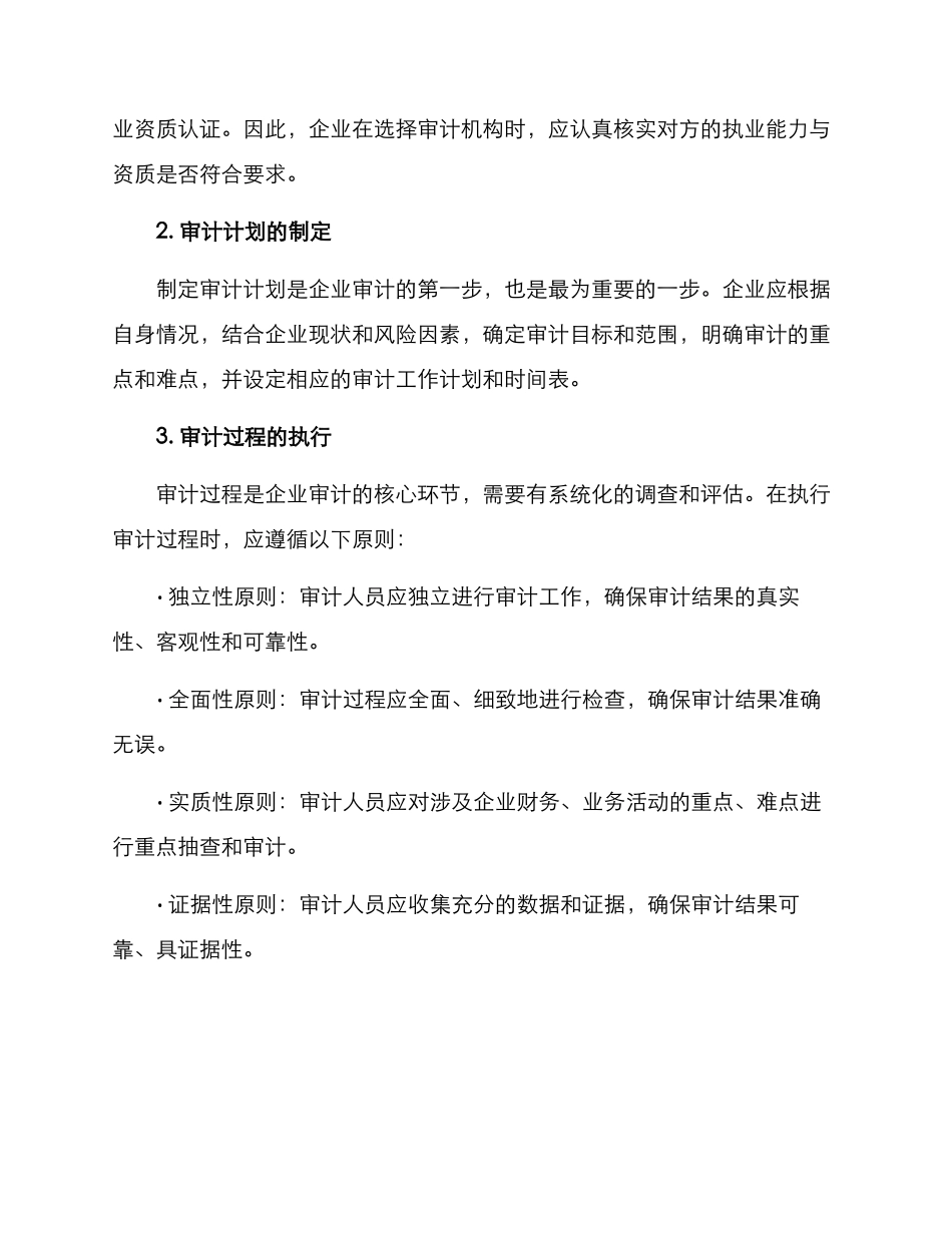 企业审计实施方案_第2页