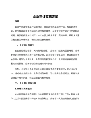 企业审计实施方案