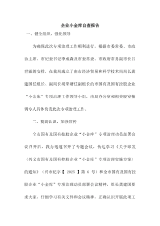 企业小金库自查报告