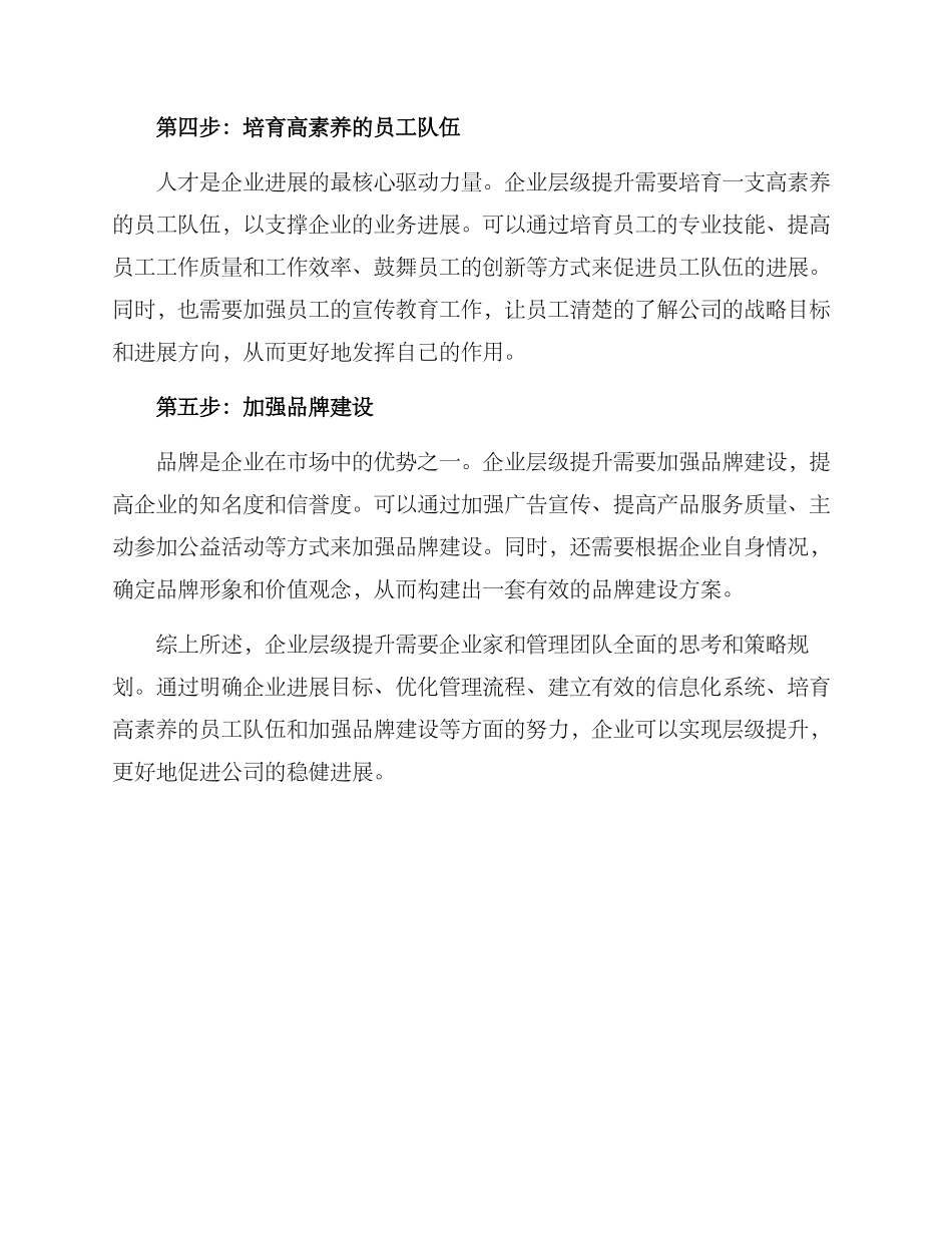 企业层级提升方案_第2页