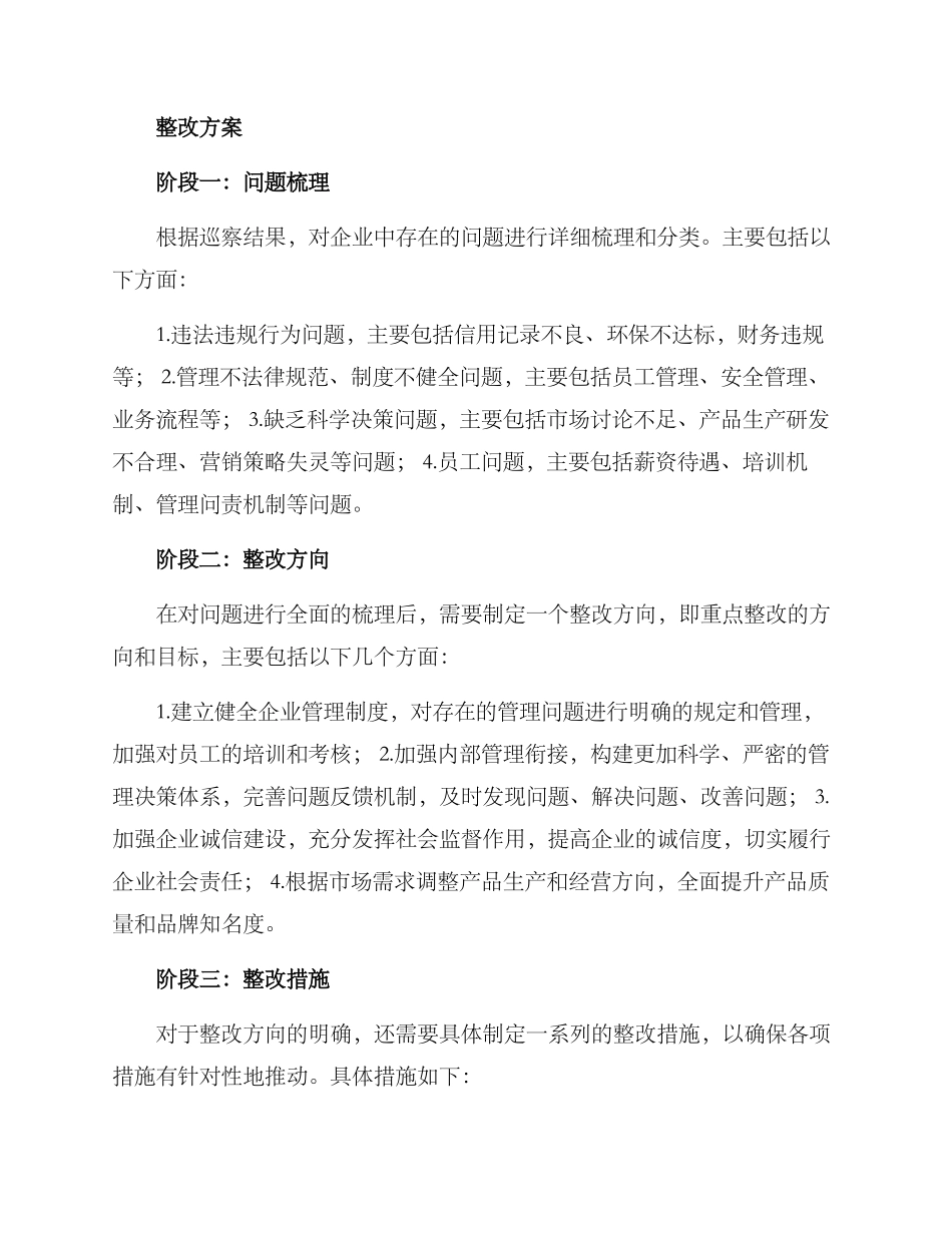 企业巡察整改方案_第2页